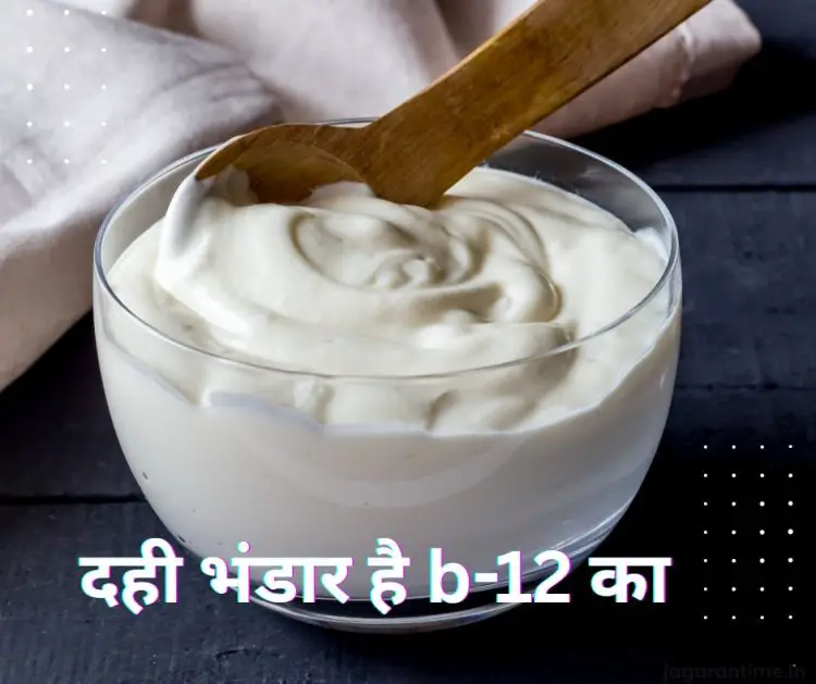 दही में छिपा है Vitamin-B12 को बढ़ाने का सीक्रेट! बस मिलाकर खाएं ये 3 चीजें